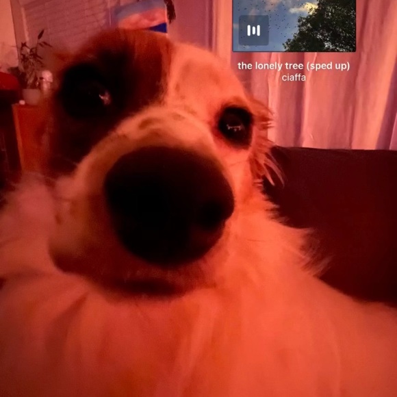 Meet the Posher Other - Meet your Posher, Melissa